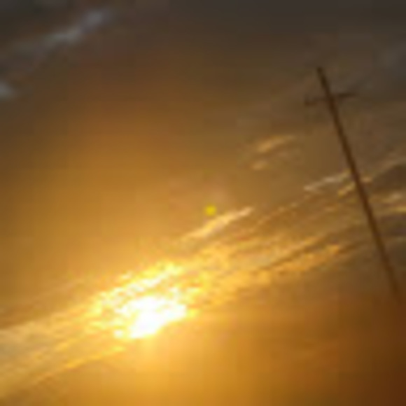 Meet your Posher, Ruby - Picture 1 of 1